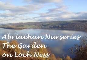 Loch Ness View - Abriachan Nurseries